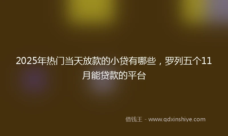 2025年热门当天放款的小贷有哪些，罗列五个11月能贷款的平台