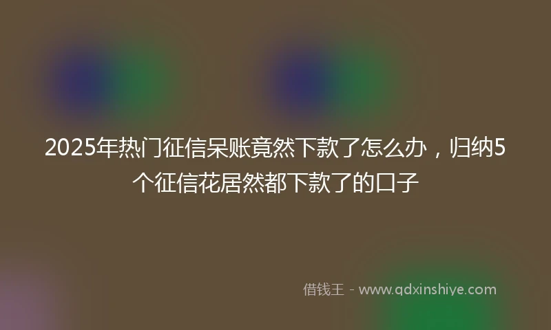 2025年热门征信呆账竟然下款了怎么办，归纳5个征信花居然都下款了的口子
