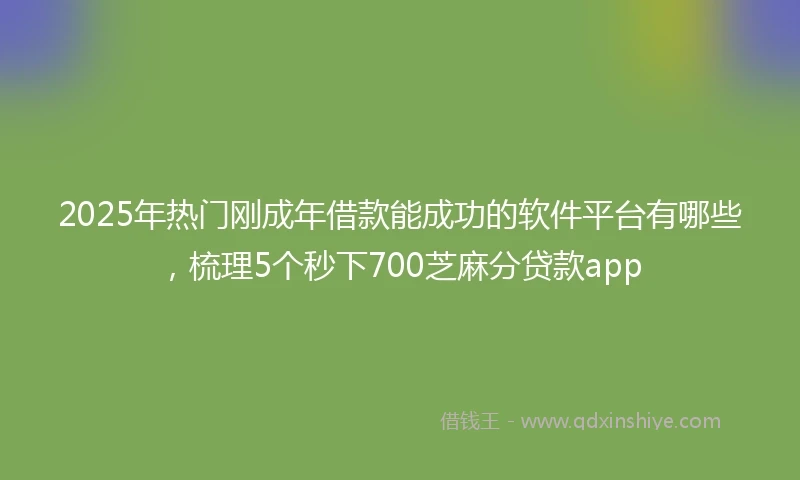 2025年热门刚成年借款能成功的软件平台有哪些，梳理5个秒下700芝麻分贷款app