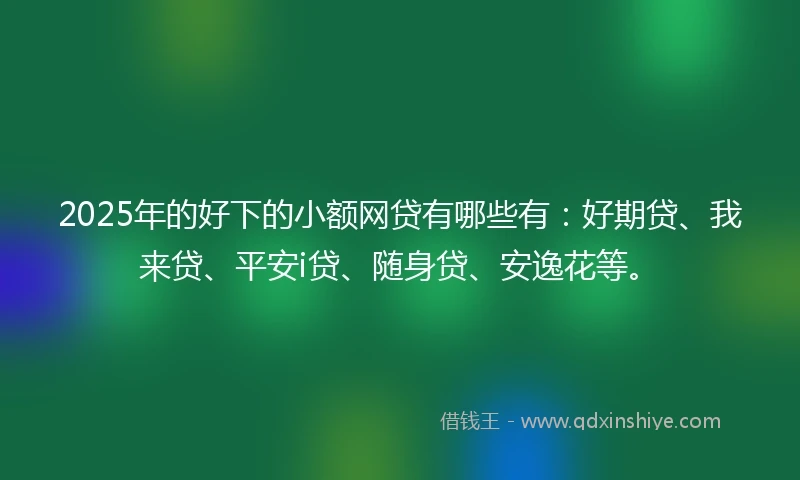 2025年的好下的小额网贷有哪些有：好期贷、我来贷、平安i贷、随身贷、安逸花等。