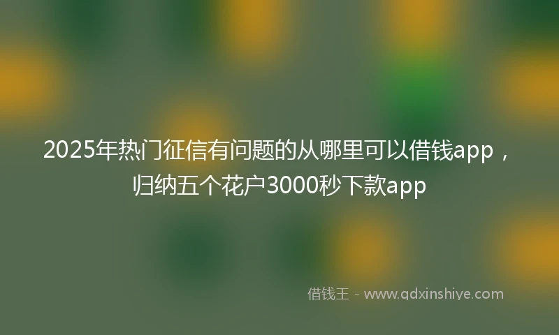 2025年热门征信有问题的从哪里可以借钱app，归纳五个花户3000秒下款app