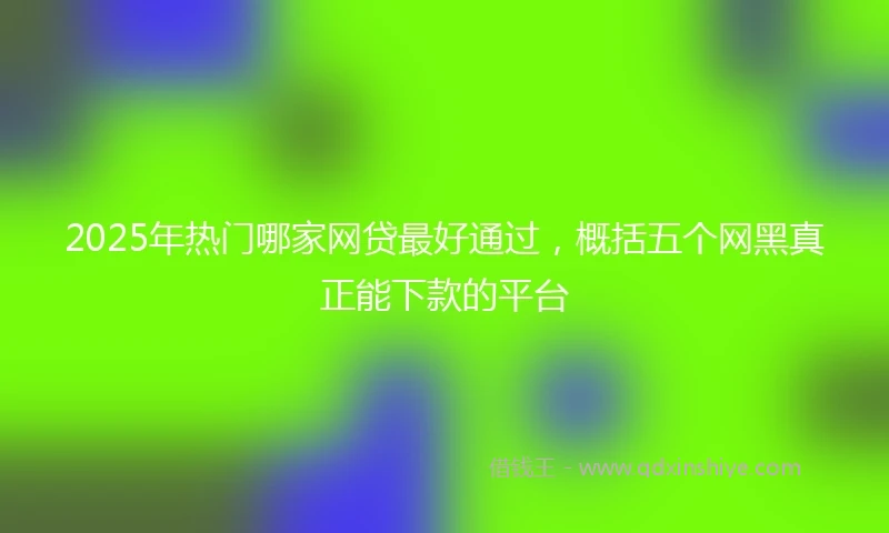 2025年热门哪家网贷最好通过，概括五个网黑真正能下款的平台