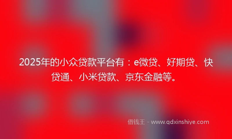 2025年的小众贷款平台有：e微贷、好期贷、快贷通、小米贷款、京东金融等。