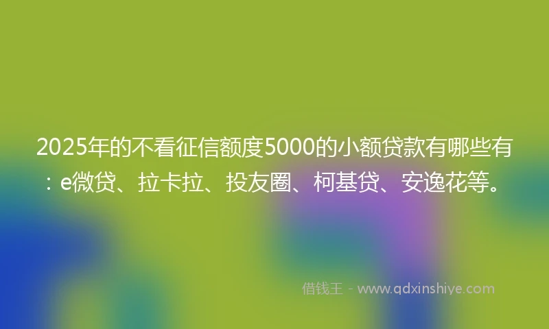 2025年的不看征信额度5000的小额贷款有哪些有：e微贷、拉卡拉、投友圈、柯基贷、安逸花等。