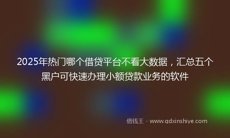 2025年热门哪个借贷平台不看大数据,汇总五个黑户可快速办理小额贷款业务的软件