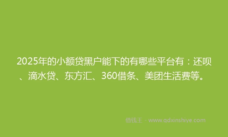 2025年的小额贷黑户能下的有哪些平台有：还呗、滴水贷、东方汇、360借条、美团生活费等。