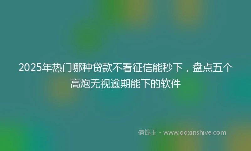 2025年热门哪种贷款不看征信能秒下，盘点五个高炮无视逾期能下的软件