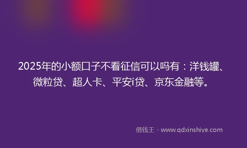 2025年的小额口子不看征信可以吗有：洋钱罐、微粒贷、超人卡、平安i贷、京东金融等。
