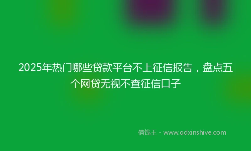 2025年热门哪些贷款平台不上征信报告,盘点五个网贷无视不查征信口子