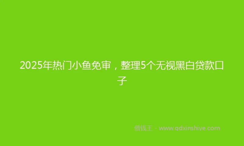 2025年热门小鱼免审，整理5个无视黑白贷款口子