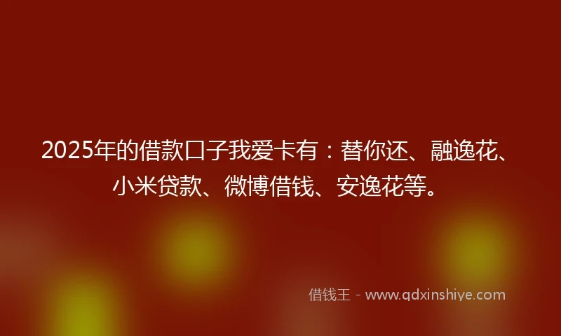 2025年的借款口子我爱卡有：替你还、融逸花、小米贷款、微博借钱、安逸花等。