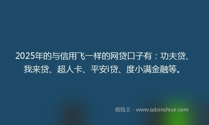 2025年的与信用飞一样的网贷口子有：功夫贷、我来贷、超人卡、平安i贷、度小满金融等。