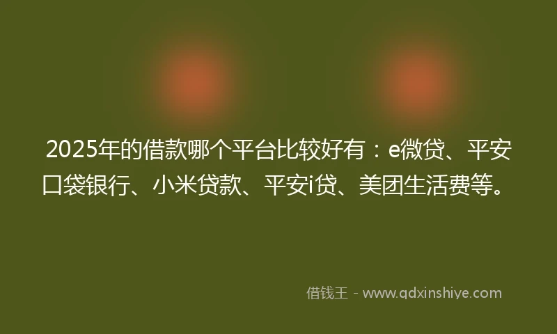 2025年的借款哪个平台比较好有：e微贷、平安口袋银行、小米贷款、平安i贷、美团生活费等。