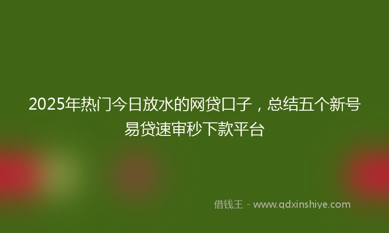 2025年热门今日放水的网贷口子，总结五个新号易贷速审秒下款平台