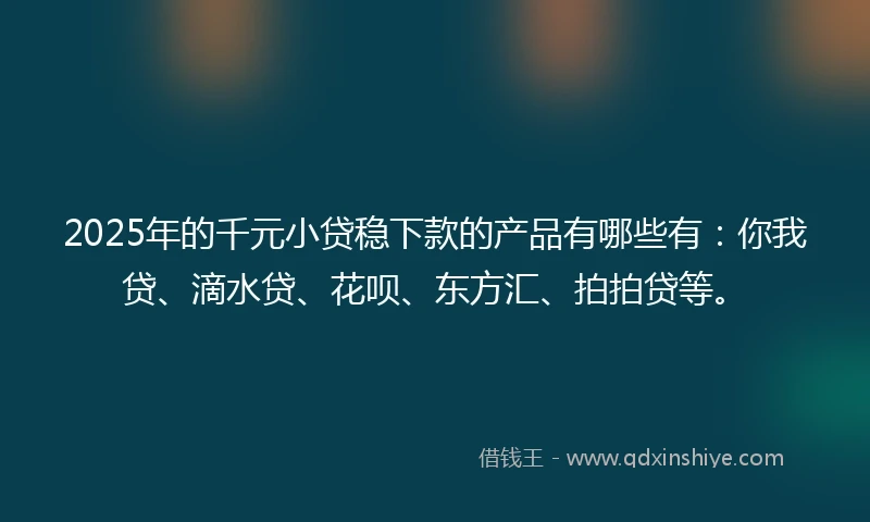 2025年的千元小贷稳下款的产品有哪些有：你我贷、滴水贷、花呗、东方汇、拍拍贷等。