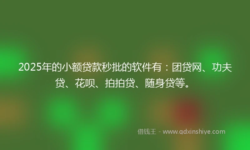 2025年的小额贷款秒批的软件有：团贷网、功夫贷、花呗、拍拍贷、随身贷等。