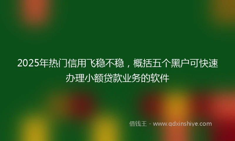 2025年热门信用飞稳不稳，概括五个黑户可快速办理小额贷款业务的软件