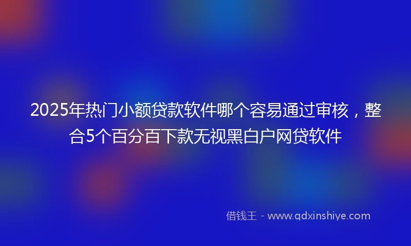 2025年热门小额贷款软件哪个容易通过审核，整合5个百分百下款无视黑白户网贷软件
