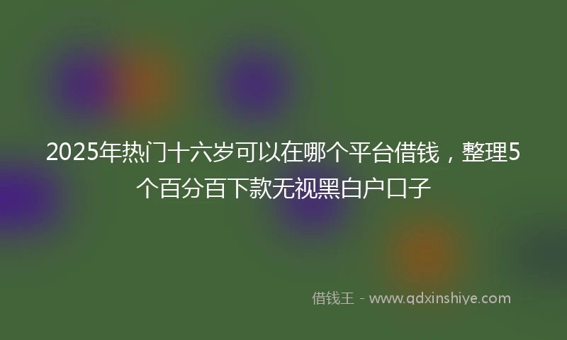 2025年热门十六岁可以在哪个平台借钱，整理5个百分百下款无视黑白户口子