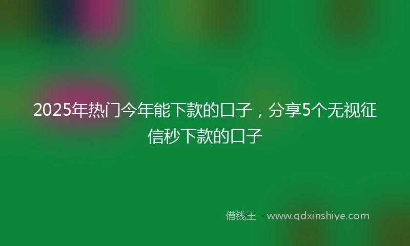 2025年热门今年能下款的口子，分享5个无视征信秒下款的口子