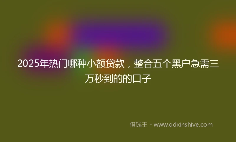 2025年热门哪种小额贷款，整合五个黑户急需三万秒到的的口子