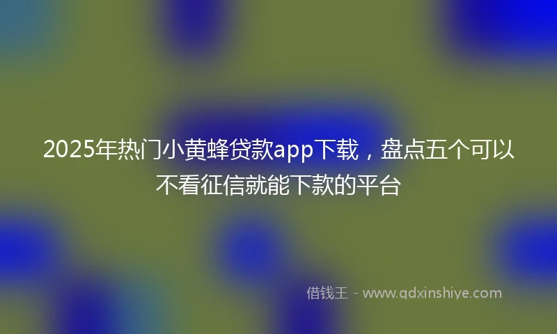 2025年热门小黄蜂贷款app下载，盘点五个可以不看征信就能下款的平台