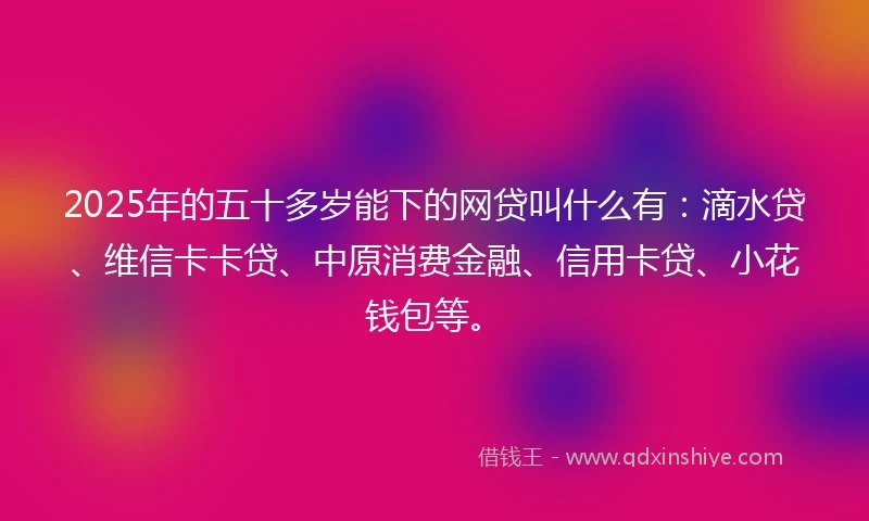 2025年的五十多岁能下的网贷叫什么有：滴水贷、维信卡卡贷、中原消费金融、信用卡贷、小花钱包等。