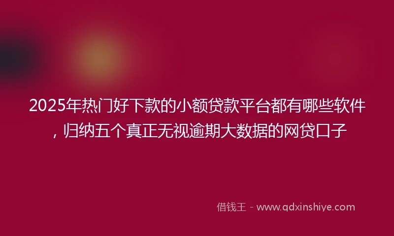 2025年热门好下款的小额贷款平台都有哪些软件，归纳五个真正无视逾期大数据的网贷口子
