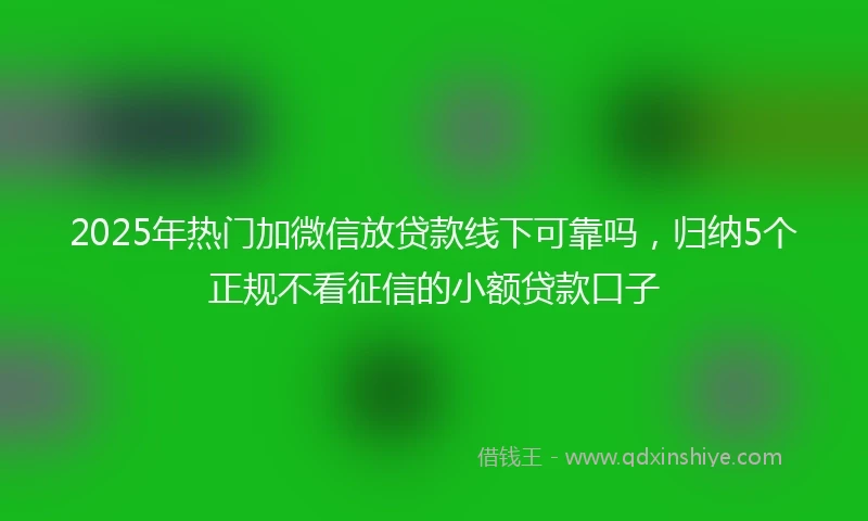 2025年热门加微信放贷款线下可靠吗，归纳5个正规不看征信的小额贷款口子