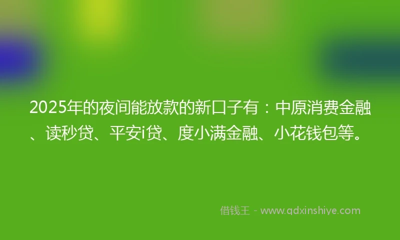 2025年的夜间能放款的新口子有：中原消费金融、读秒贷、平安i贷、度小满金融、小花钱包等。