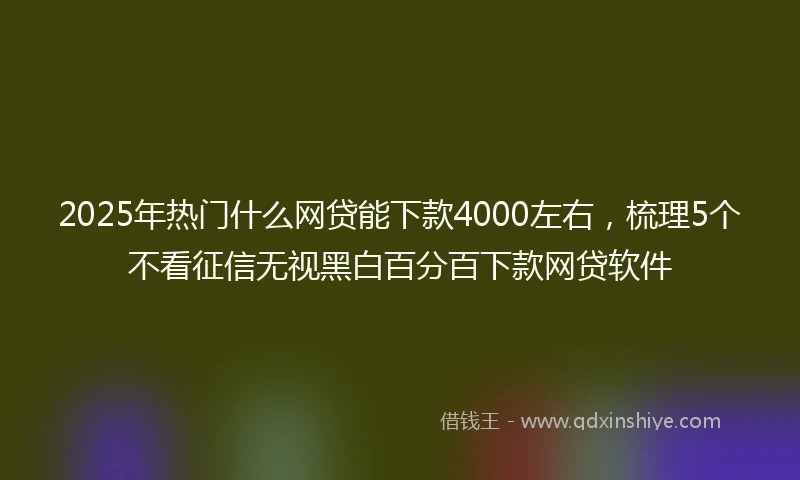 2025年热门什么网贷能下款4000左右，梳理5个不看征信无视黑白百分百下款网贷软件