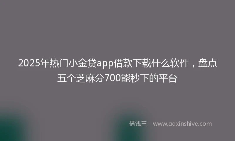 2025年热门小金贷app借款下载什么软件，盘点五个芝麻分700能秒下的平台