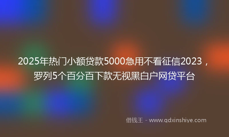 2025年热门小额贷款5000急用不看征信2023，罗列5个百分百下款无视黑白户网贷平台