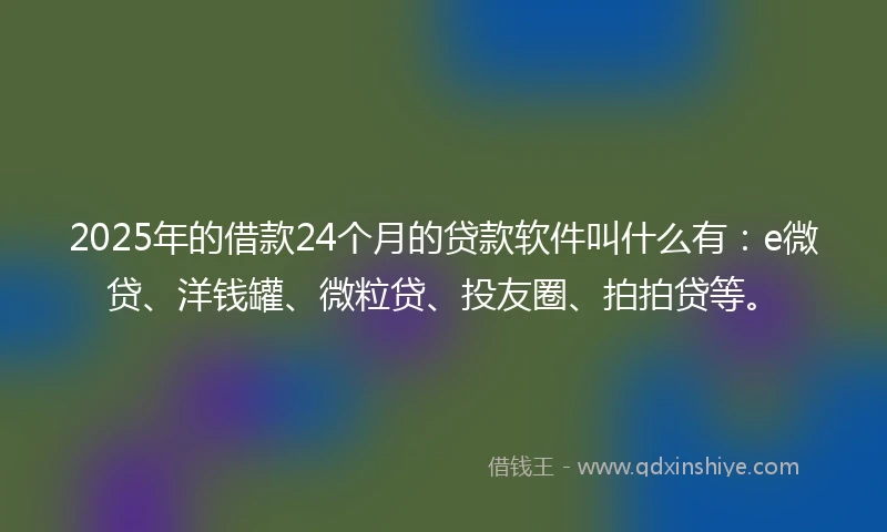 2025年的借款24个月的贷款软件叫什么有：e微贷、洋钱罐、微粒贷、投友圈、拍拍贷等。