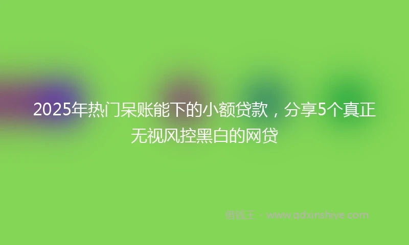 2025年热门呆账能下的小额贷款，分享5个真正无视风控黑白的网贷