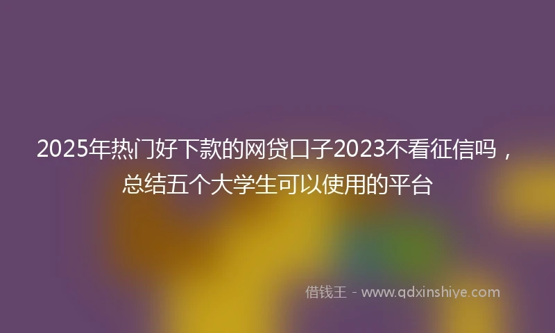 2025年热门好下款的网贷口子2023不看征信吗，总结五个大学生可以使用的平台