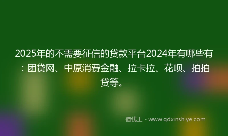 2025年的不需要征信的贷款平台2024年有哪些有：团贷网、中原消费金融、拉卡拉、花呗、拍拍贷等。