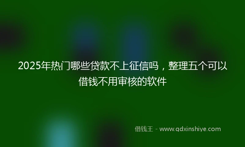 2025年热门哪些贷款不上征信吗，整理五个可以借钱不用审核的软件