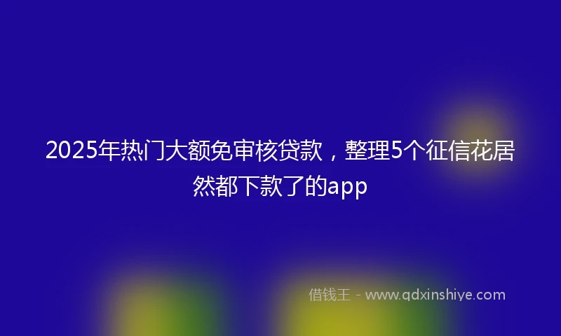 2025年热门大额免审核贷款，整理5个征信花居然都下款了的app