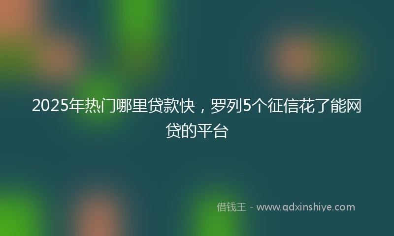 2025年热门哪里贷款快，罗列5个征信花了能网贷的平台