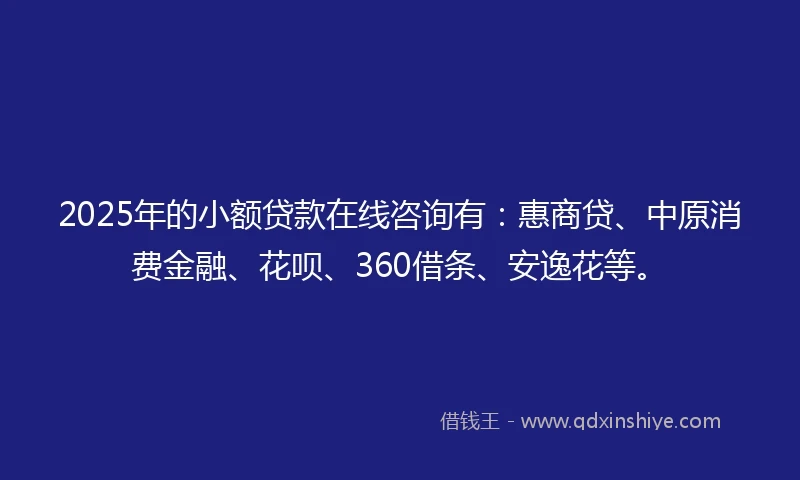 2025年的小额贷款在线咨询有：惠商贷、中原消费金融、花呗、360借条、安逸花等。