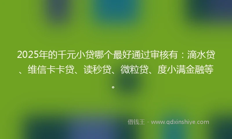 2025年的千元小贷哪个最好通过审核有：滴水贷、维信卡卡贷、读秒贷、微粒贷、度小满金融等。