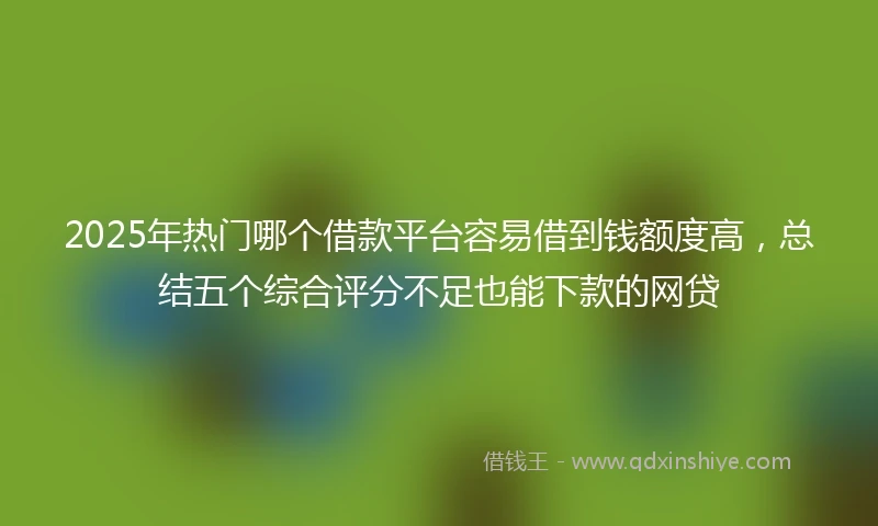 2025年热门哪个借款平台容易借到钱额度高，总结五个综合评分不足也能下款的网贷