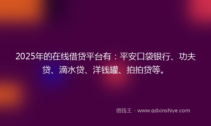 2025年的在线借贷平台有：平安口袋银行、功夫贷、滴水贷、洋钱罐、拍拍贷等。