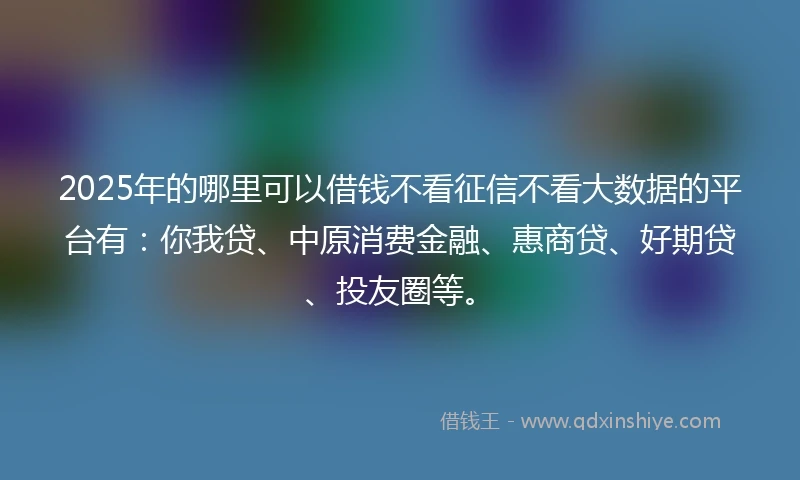 2025年的哪里可以借钱不看征信不看大数据的平台有：你我贷、中原消费金融、惠商贷、好期贷、投友圈等。