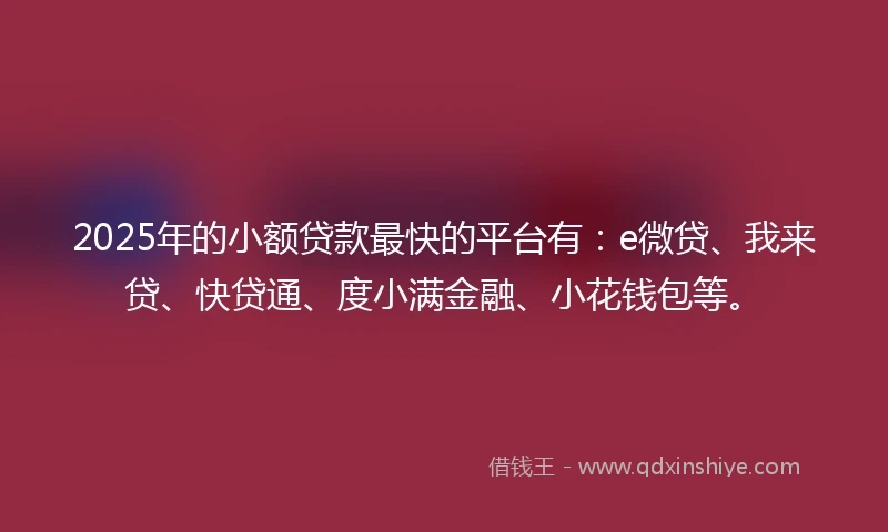 2025年的小额贷款最快的平台有：e微贷、我来贷、快贷通、度小满金融、小花钱包等。