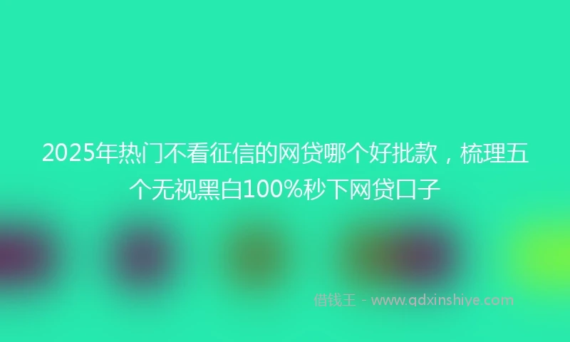 2025年热门不看征信的网贷哪个好批款，梳理五个无视黑白100%秒下网贷口子