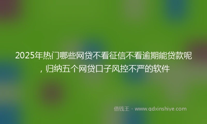 2025年热门哪些网贷不看征信不看逾期能贷款呢，归纳五个网贷口子风控不严的软件