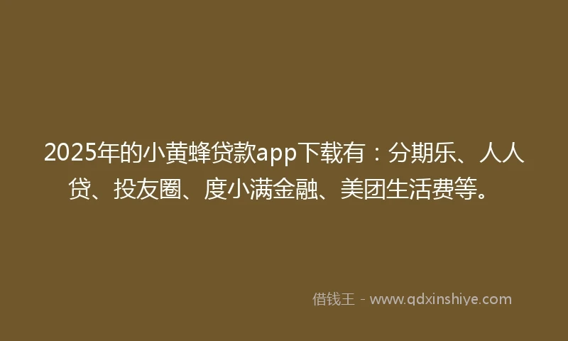 2025年的小黄蜂贷款app下载有：分期乐、人人贷、投友圈、度小满金融、美团生活费等。