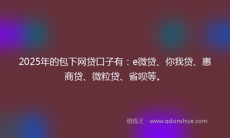2025年的包下网贷口子有：e微贷、你我贷、惠商贷、微粒贷、省呗等。